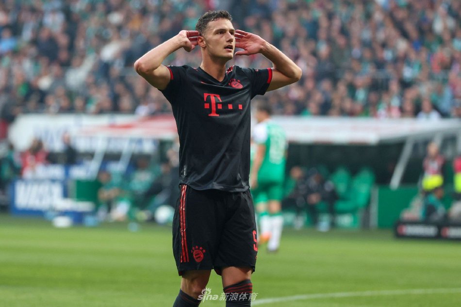 职业生涯的 职业生涯的